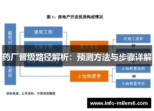 药厂晋级路径解析：预测方法与步骤详解