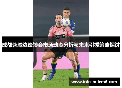 成都蓉城边锋转会市场动态分析与未来引援策略探讨