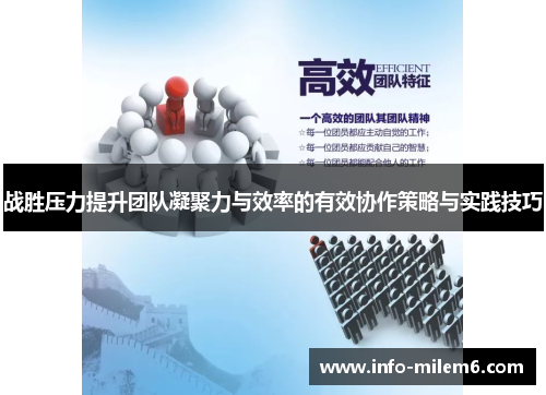 战胜压力提升团队凝聚力与效率的有效协作策略与实践技巧