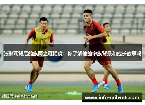 张琳芃背后的族裔之谜揭晓：你了解他的家族背景和成长故事吗