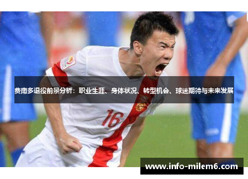 费南多退役前景分析：职业生涯、身体状况、转型机会、球迷期待与未来发展