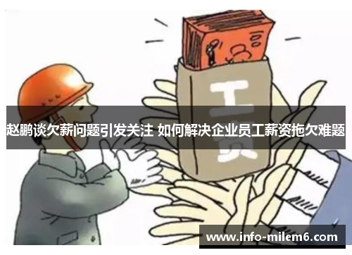 赵鹏谈欠薪问题引发关注 如何解决企业员工薪资拖欠难题