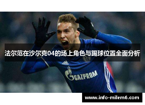 法尔范在沙尔克04的场上角色与踢球位置全面分析
