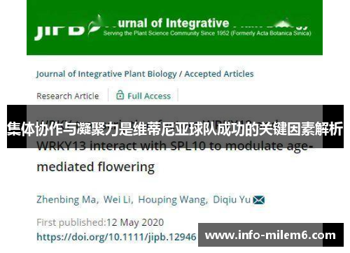 集体协作与凝聚力是维蒂尼亚球队成功的关键因素解析