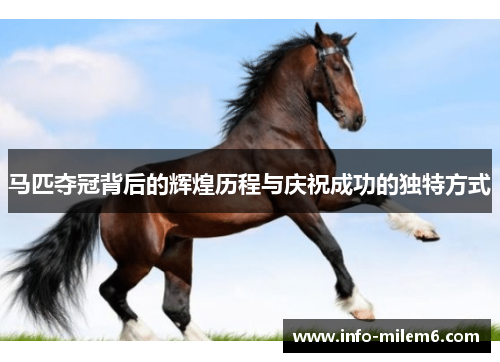 马匹夺冠背后的辉煌历程与庆祝成功的独特方式
