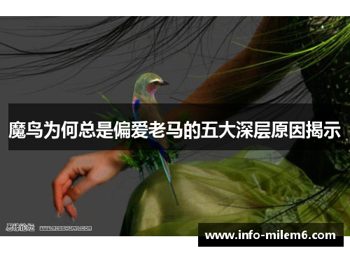 魔鸟为何总是偏爱老马的五大深层原因揭示
